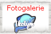 Ekotým - fotogalerie