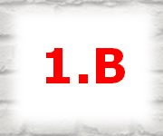 1B