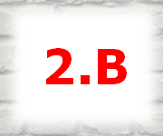 2B