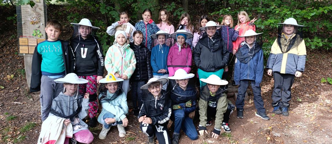 4. B ve Včelím království