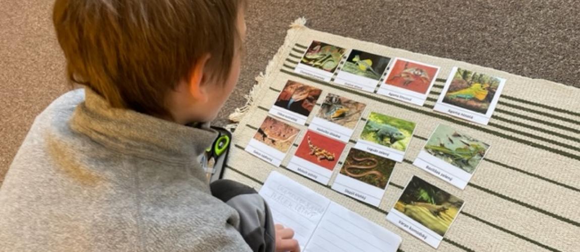 montessori