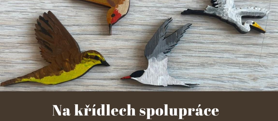 pomůcka k lekci o migraci ptáků