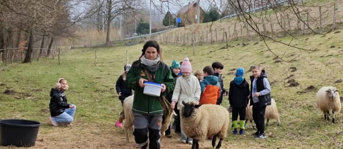 Zvířata na farmě