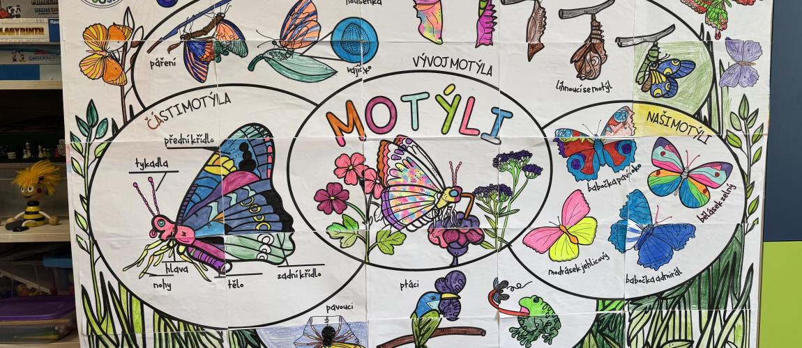 motýli v družině