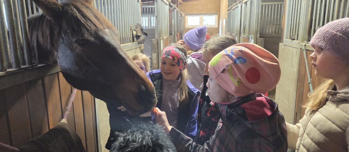 Liberecká jízdárna