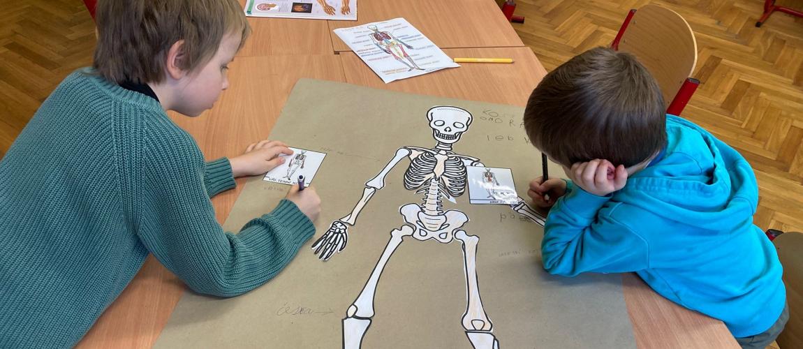 Tvoření lidské kostry