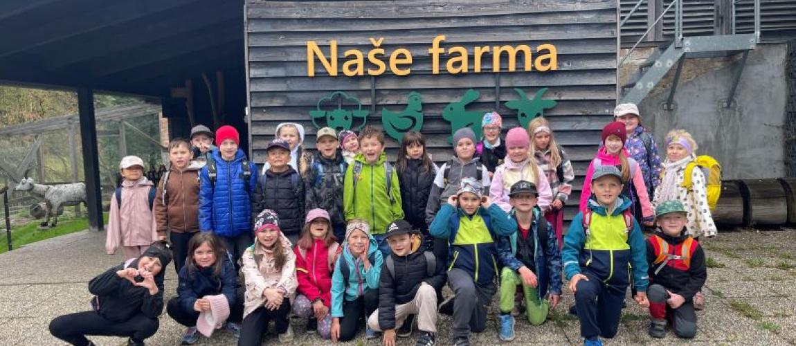 Naše farma